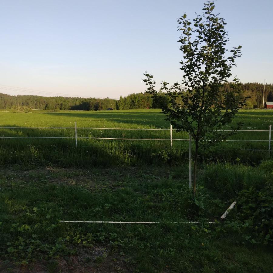 Countrycabin Bergslagen Stuga Ramsberg المظهر الخارجي الصورة